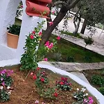 Alex וילה