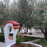Alex וילה *