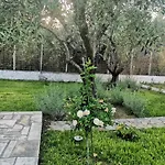 Villa Alex Agios Georgios (Istiaia-Aidipsos)