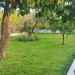 Villa Alex