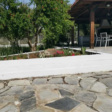 Alex Agios Georgios (Istiaia-Aidipsos)