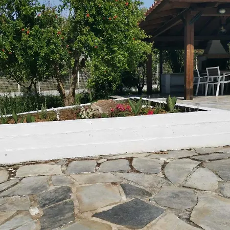 Alex Άγιος Γεώργιος