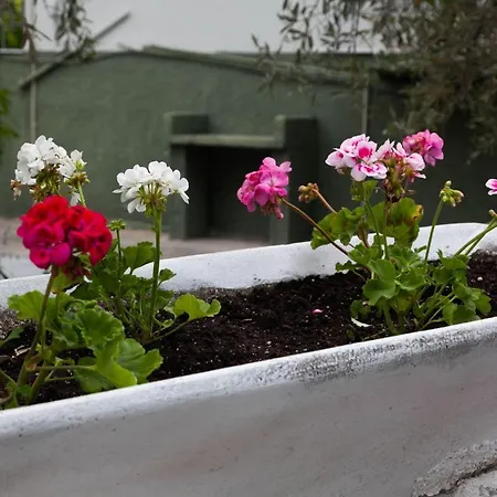 Alex * Áyios Yeóryios