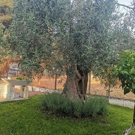 Alex * Áyios Yeóryios