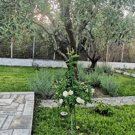 Villa Alex Áyios Yeóryios