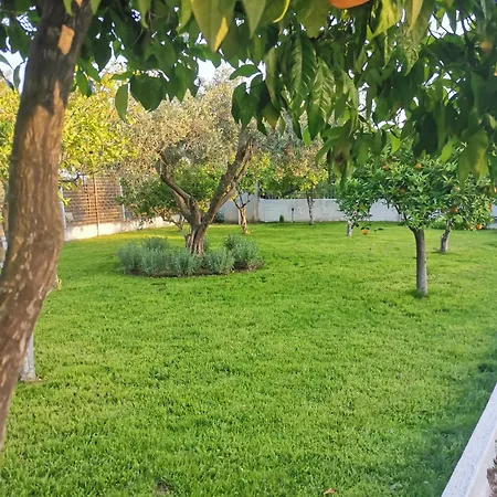 Villa Alex