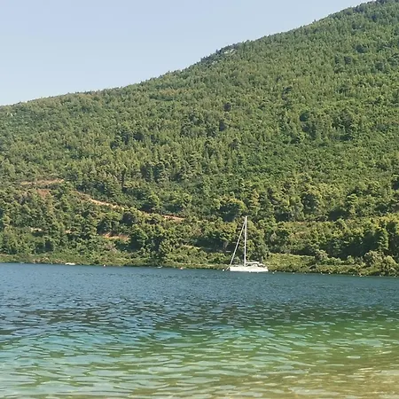 Alex * Agios Georgios (Istiaia-Aidipsos)