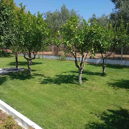 Villa Alex