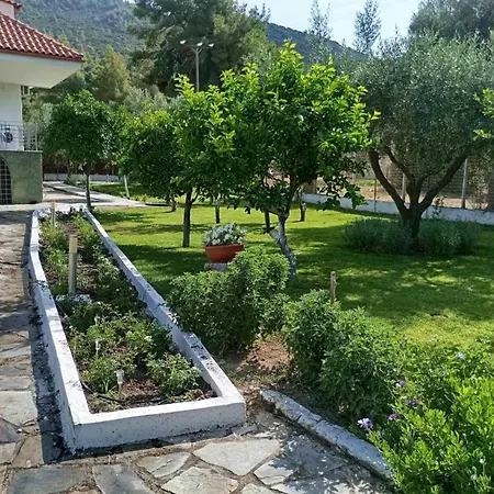 Villa Alex Agios Georgios (Istiaia-Aidipsos)